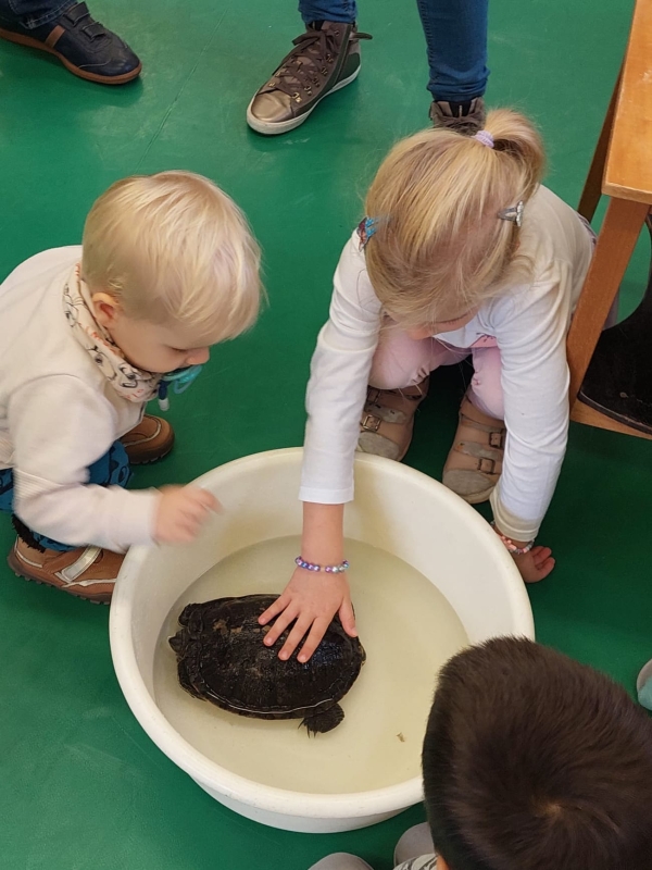 Állatsimogtó délután az óvodában